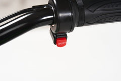 Vaikiškas elektrinis motociklas POLOVOLT RS-12